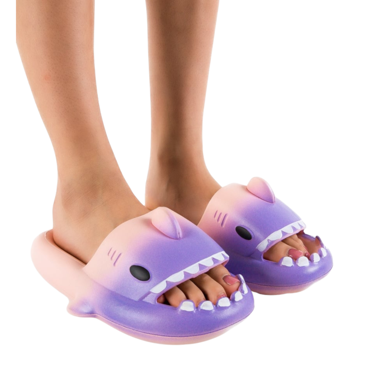 The ComfyShark