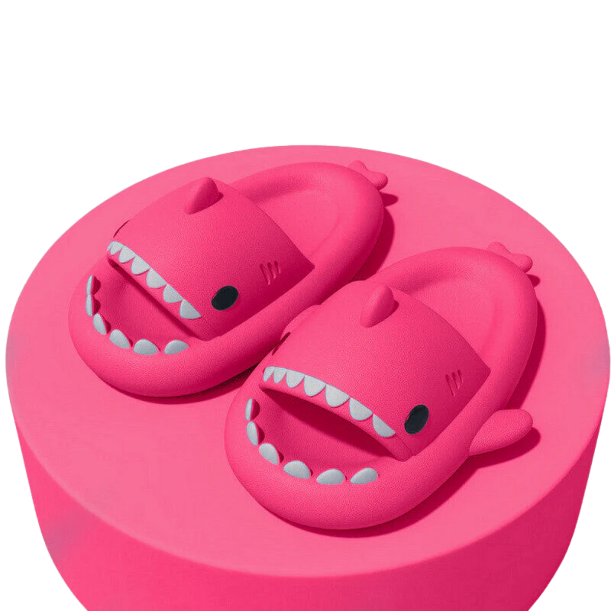 The ComfyShark